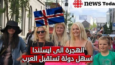 الهجرة إلى أيسلندا الوظائف المطلوبة وطرق الهجرة إليها 2022